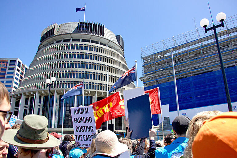 A section of the 7000-strong Wellington crowd who gathered on the steps of Parliament on Saturday.