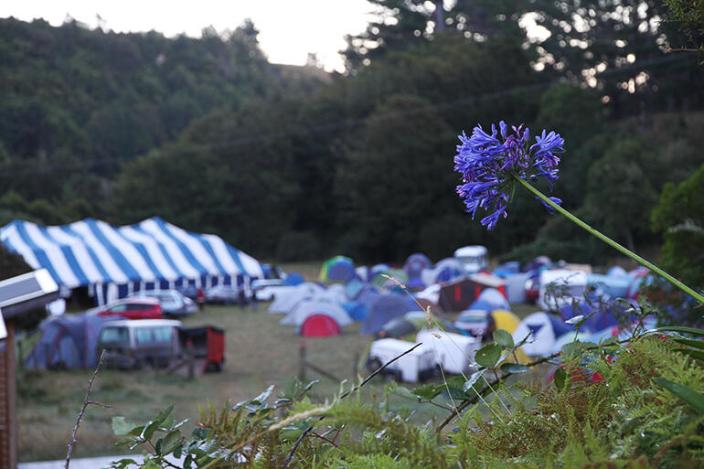 Early morning at Passionfest, which Ngatiawa hosts each summer.
