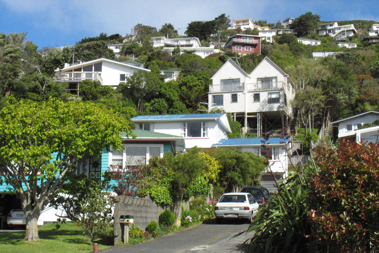 When did Kiwi home ownership slip away? Houses like these on a Wellington hillside are now more likely to be rented than owner-occupied.