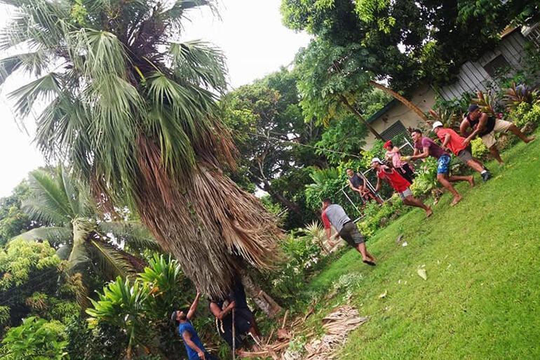 Young people from All Saints topple a tree which had been made dangerous by Gita.