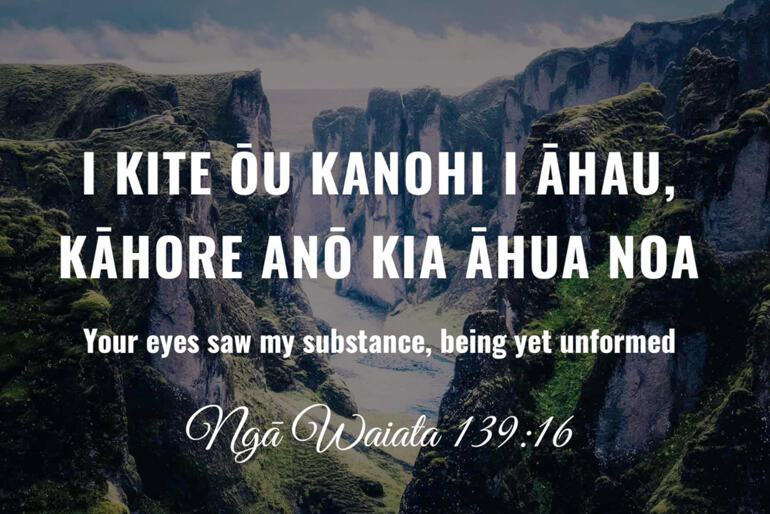 Scripture reveals God's vision of Aotearoa formed in God's image.