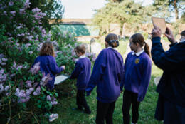 4 school girls investigate a budleia shrub
