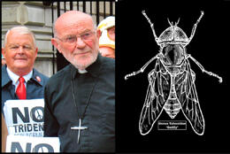 A middle aged male priest stands with an anti-nuclear activist and disarmament signs flanked by a scientific drawing of a gadfly