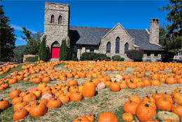 US pumpkins fund Haiti health