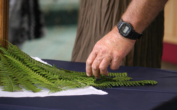 At Holy Trinity Greymouth this weekend, parishioners and visitors were invited to lay a fern frond at the foot of the cross.