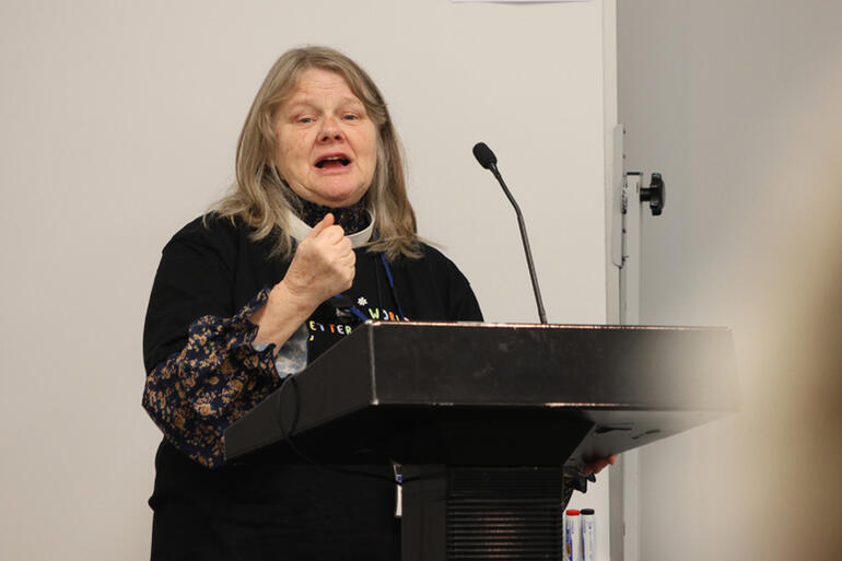Rev Vicki Terrell leads the session introducing and analysing the draft Theological Statement on Disability.