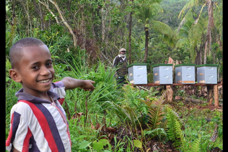 At Drawa, the landowners have developed a forest honey business to augment their forest management income.