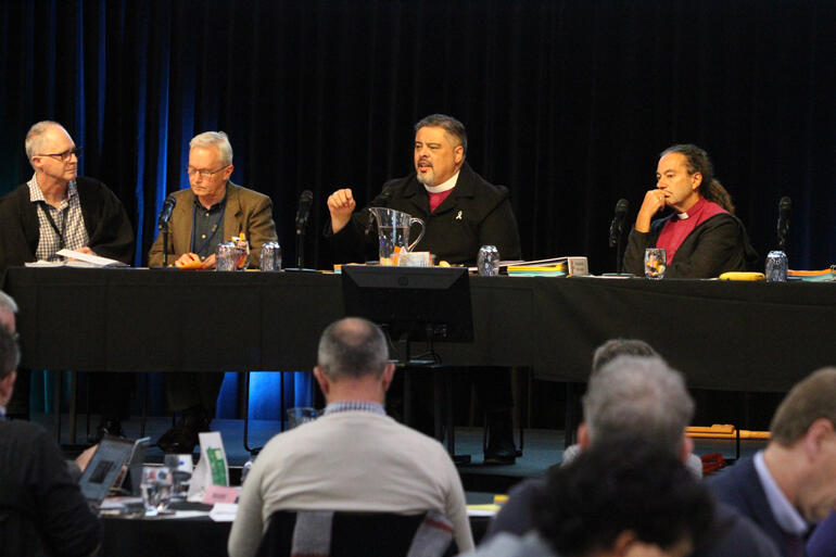 Archbishop Don Tamihere speaks on the revisions to Title D Canons II and III.