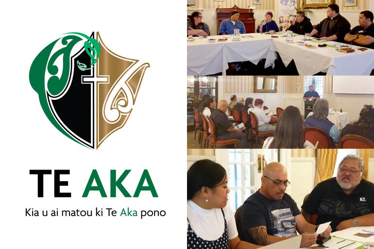Mātanga meet to support the ministry, educational and media elements of the Te Aka children and families' ministry project.