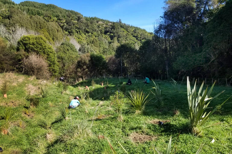 Members of the Ngatiawa River Monastery community plant native trees and shrubs.