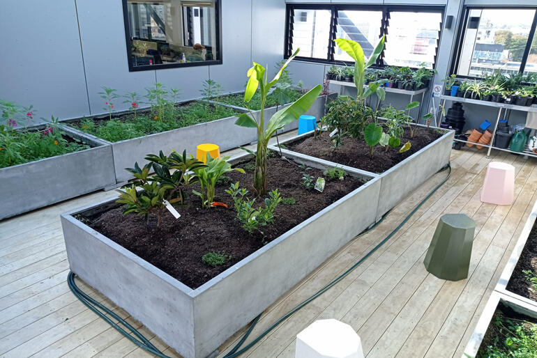 Rooftop gardeners at Auckland City Mission's HomeGround are looking forward to gaining new skills on offer at the composting hub.