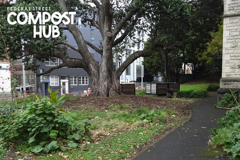 The Federal Street Composting Hub sits as a little natural wilderness amongst St Matthew-in-the City's urban setting.