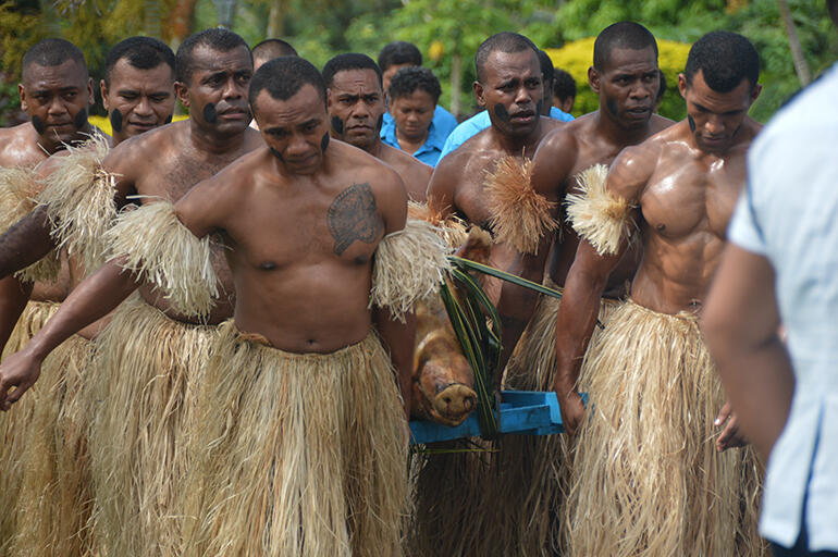 The traditional welcome included the presentation by Fijians in warrior dress of a pig to the guest of honour.