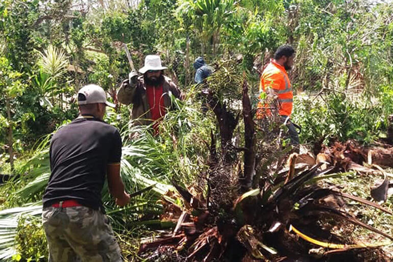 Dealing to a fallen palm. Pix by Fei Tevi.