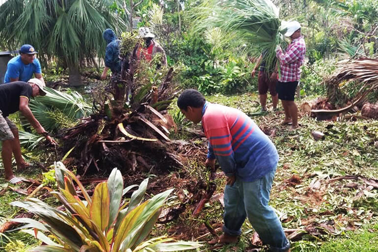 Young men from All Saints Fasi removing a palm uprooted by Cyclone Gita. Pic by Fei Tevi.