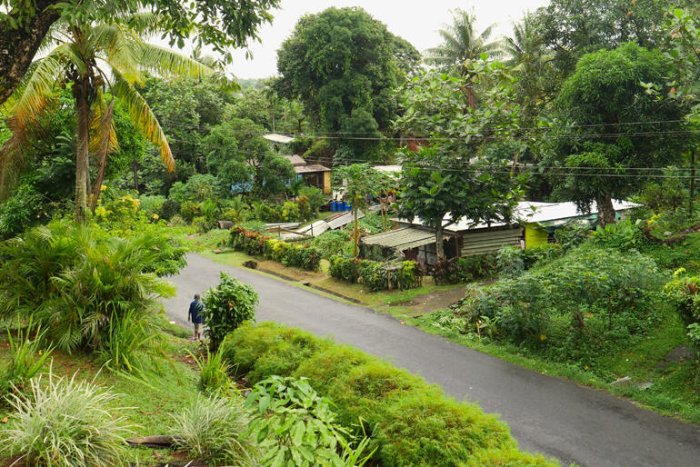 Looking across to the St Mark's Anglican Church parish garden in the thriving Fijian environment.